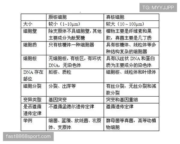 帕尔默带队能力的核心体现与作用机制解析